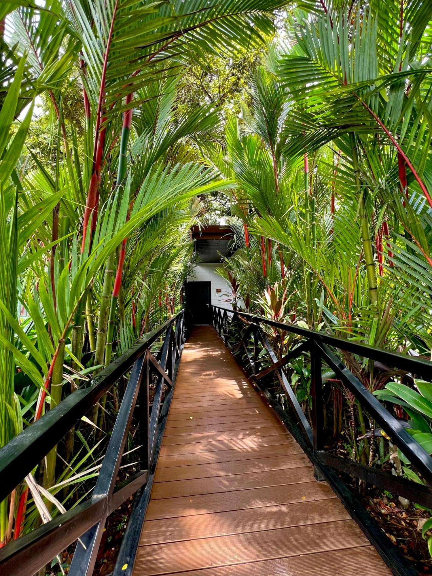 Hotel Boutique Casa Del Rio ラ・フォルトゥナ エクステリア 写真