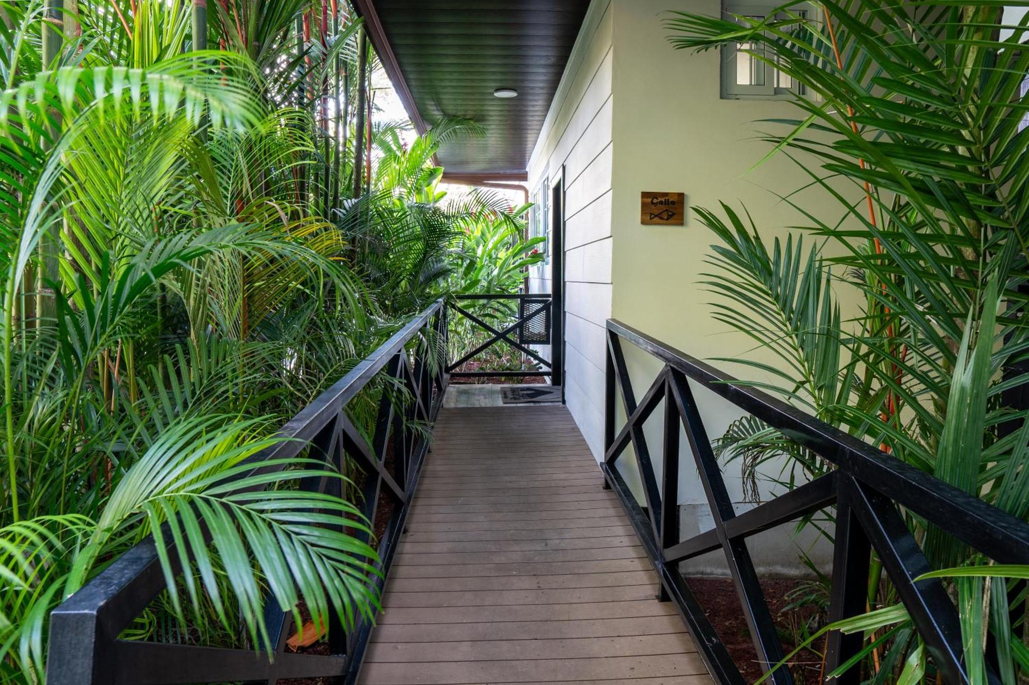 Hotel Boutique Casa Del Rio ラ・フォルトゥナ エクステリア 写真